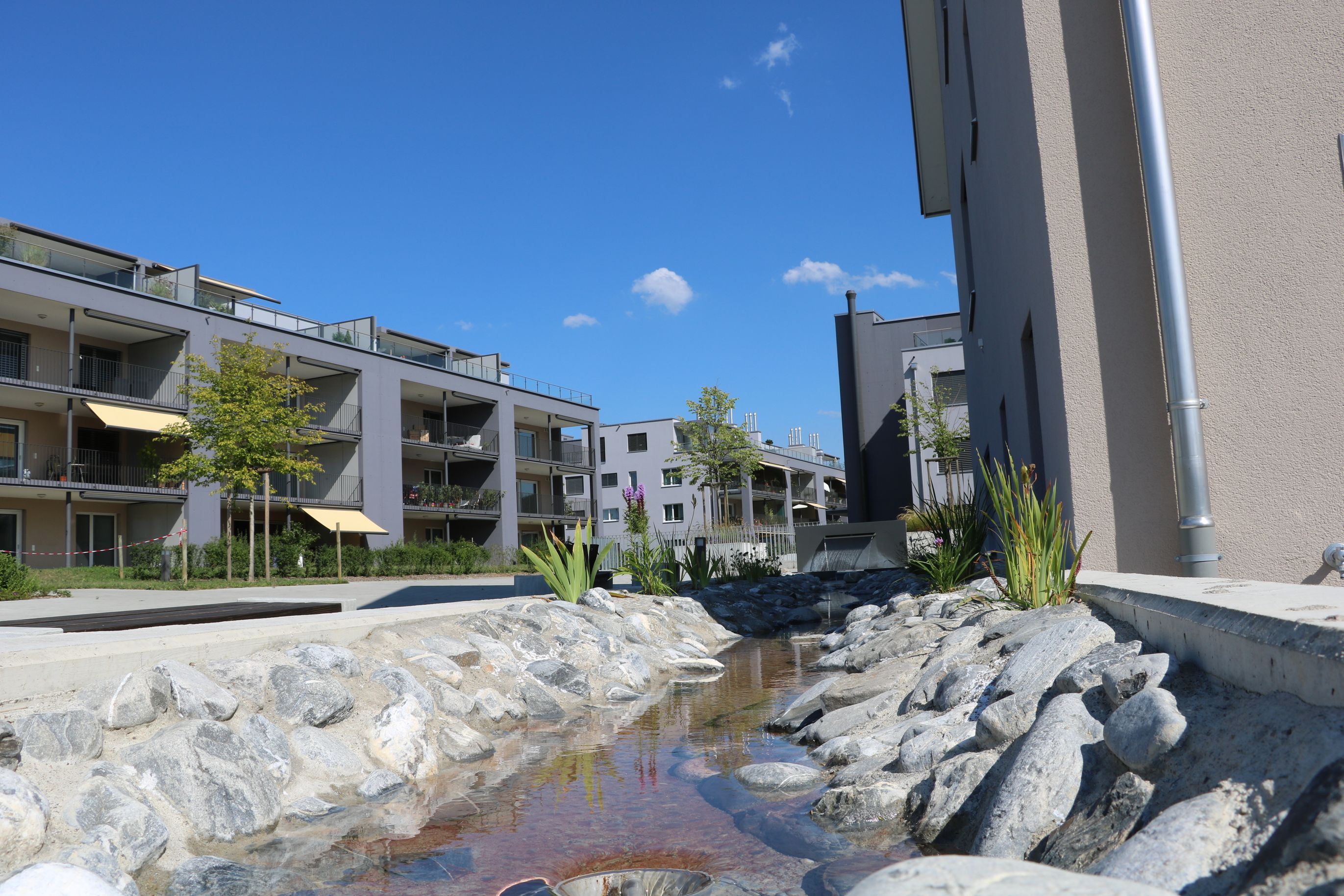 Bilder Bührer & Partner Immobilien AG