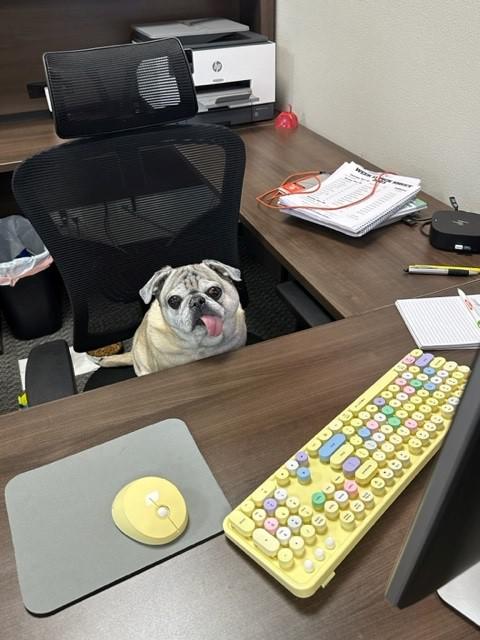 Buggie Dugger Jr - State Farm Insurance Agent