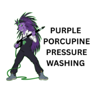 Purple Porcupine Pressure Washing