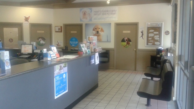 Images VCA Elliot Park Animal Hospital