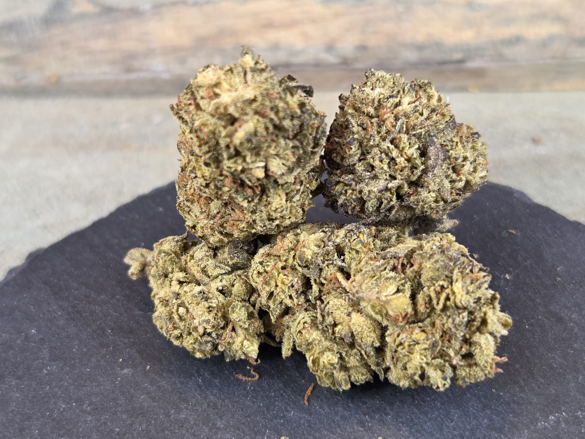 PURPLE GROWS Cannabis, CBD und THC-Seeds in Delbrück