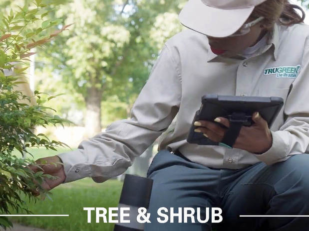 Images TruGreen Lawn Care