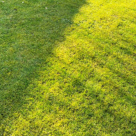 Bilder CleanTeam MultiService