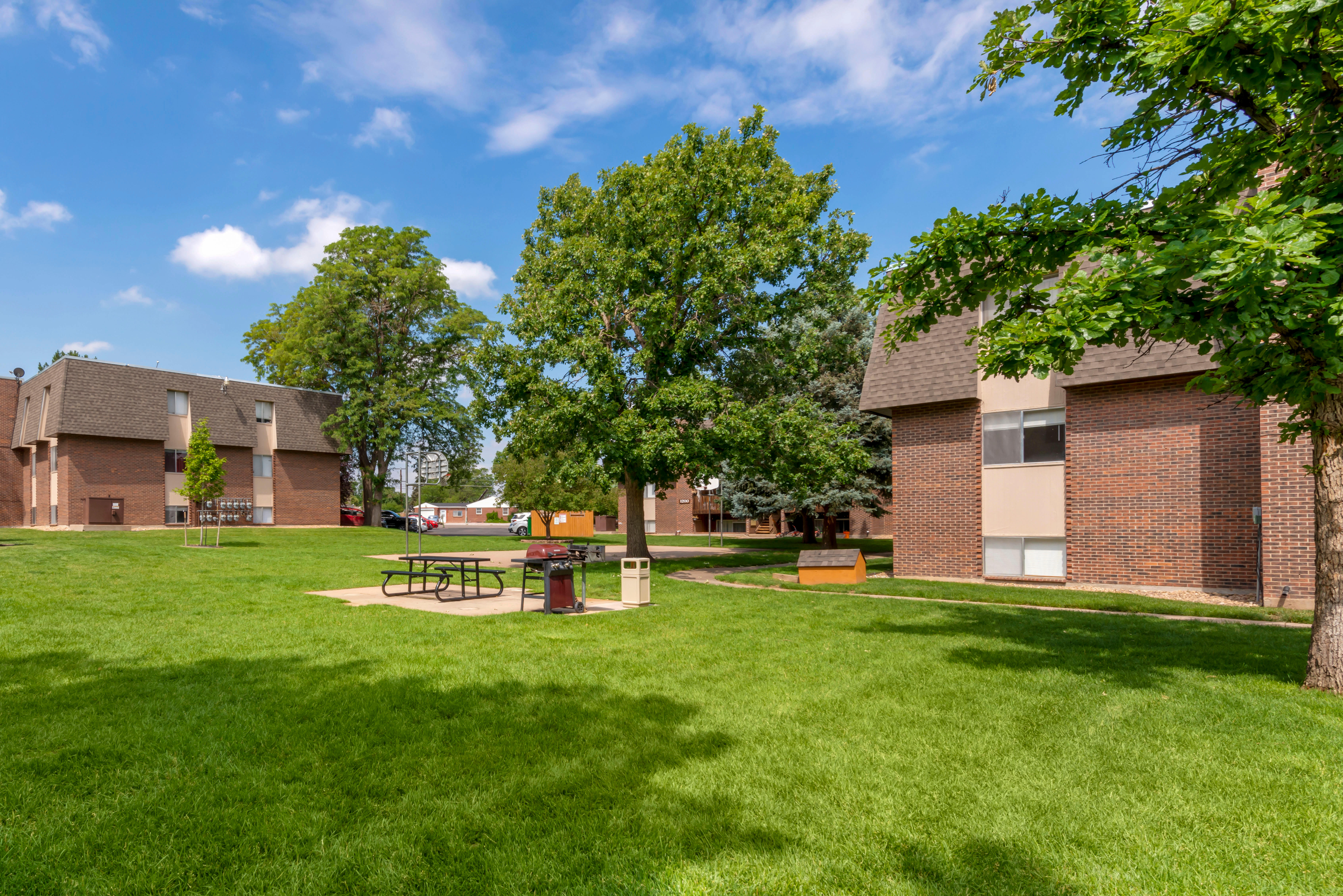 Green grassy yard with a gas grill, picnic area, trees, and a brick building exterior.