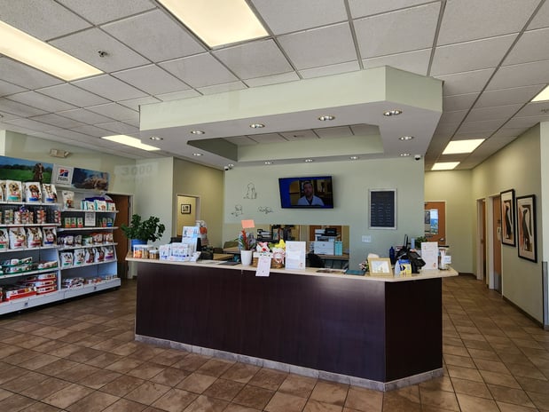 Images VCA Stirling Square Animal Hospital