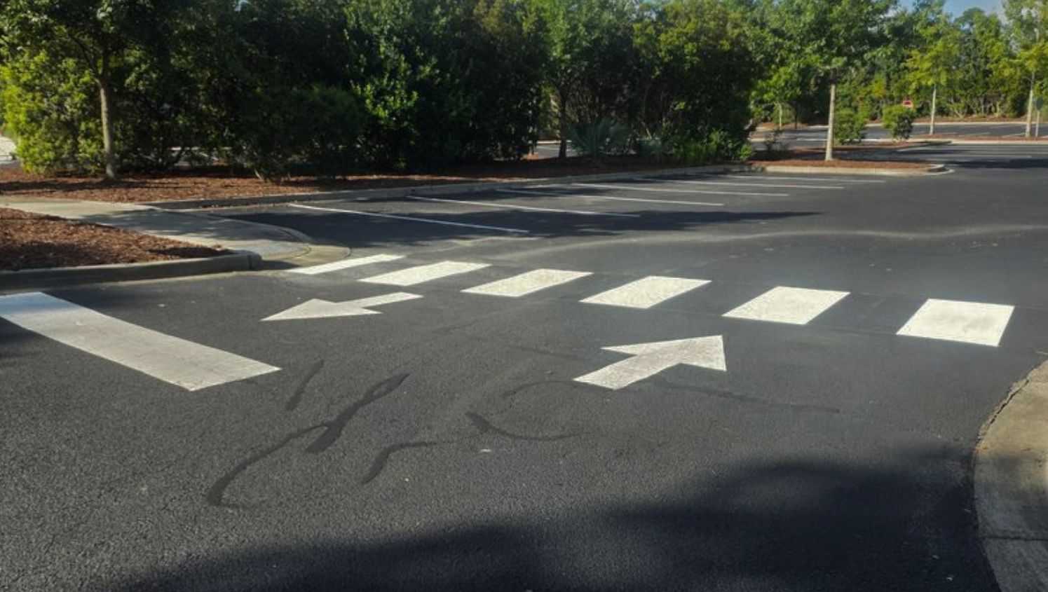 G-FORCE Parking Lot Striping of Charleston