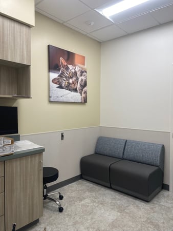 Images VCA Mount Kisco Veterinary Clinic