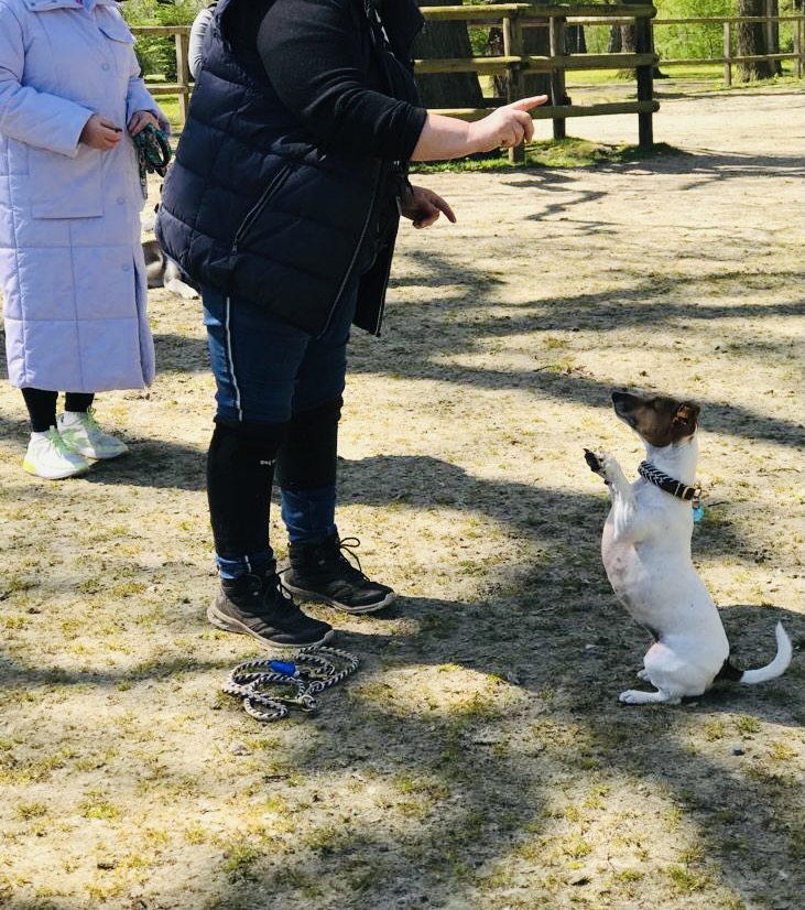 Hundecollege Hamburg, Farnstieg 9 in Hamburg