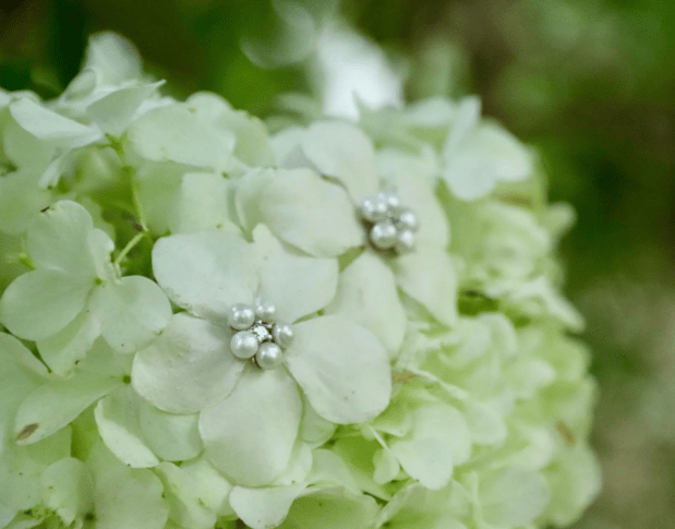 Images Hillary Jackson Designs