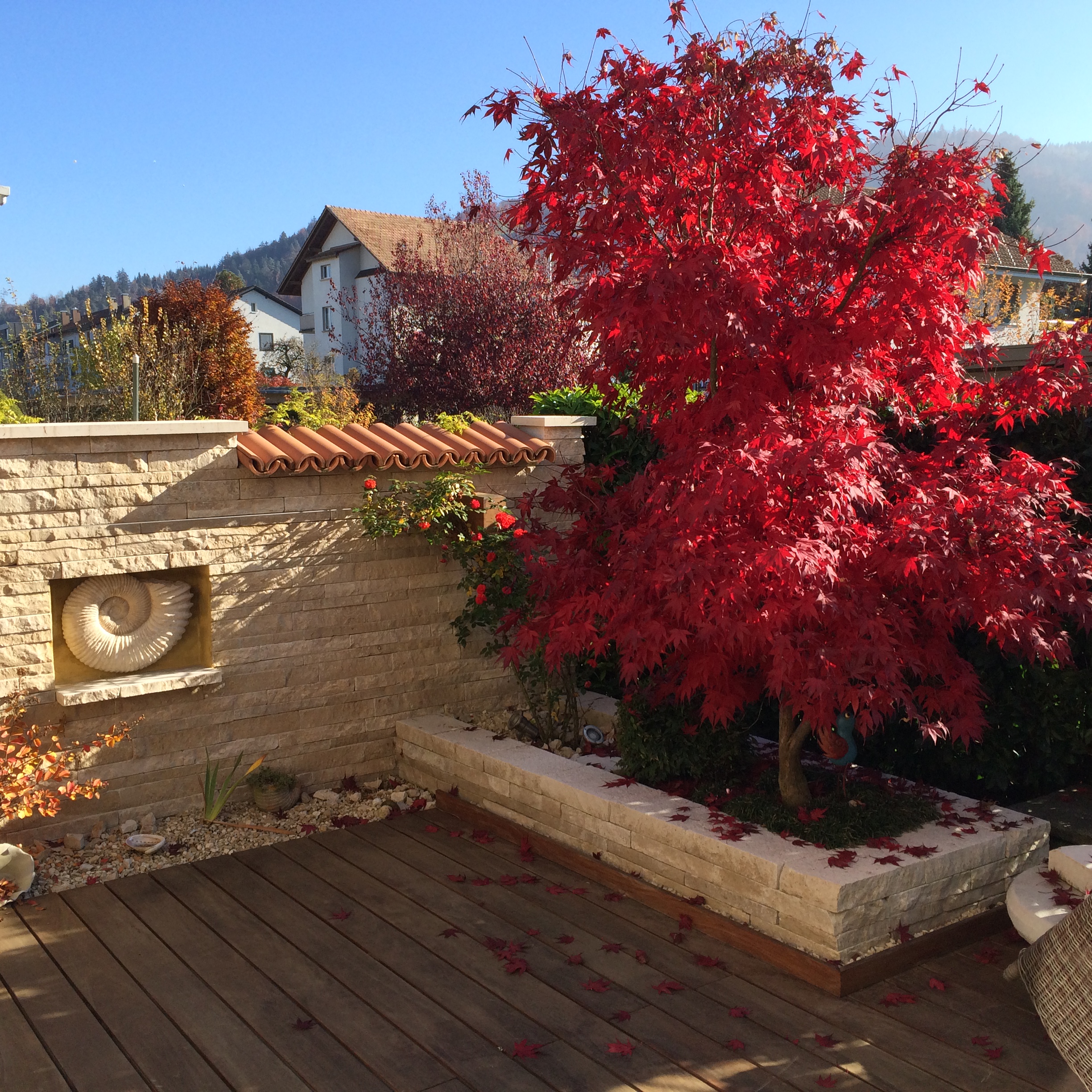 Kummer Gartenbau, Gibliz 391 in Uetendorf