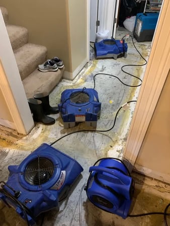 Images Quality Cleaning and Restoration, LLC