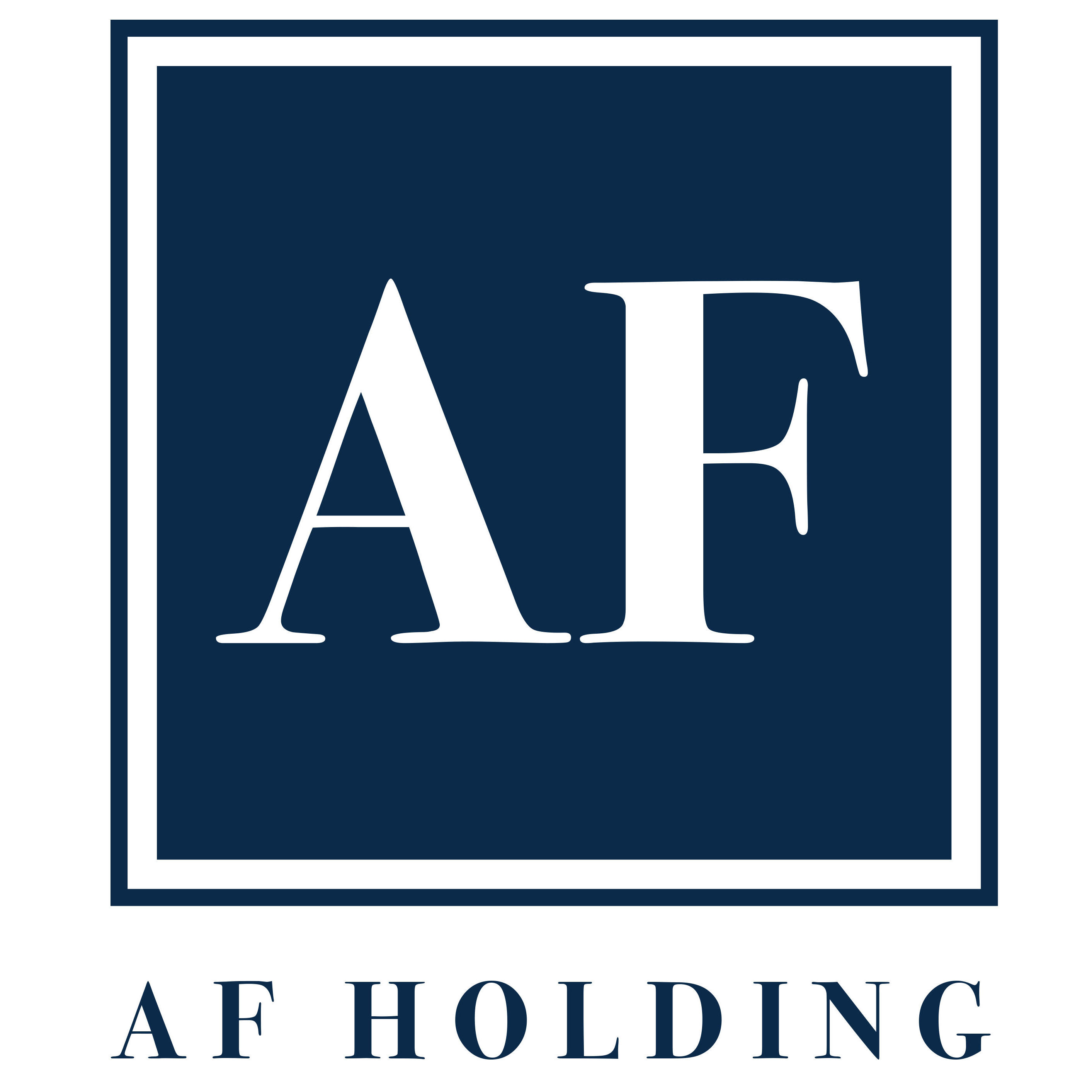 AF Holding Group LLC