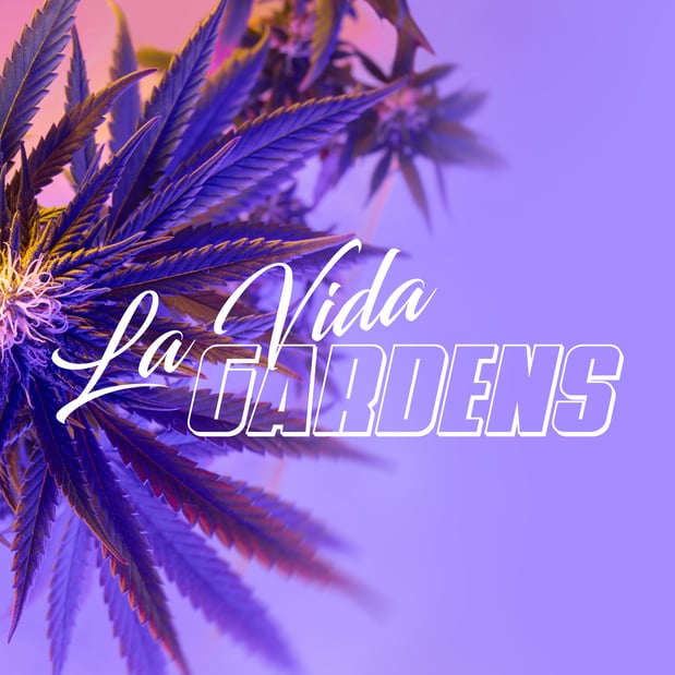 Images La Vida Gardens Dispensary Belleville NJ