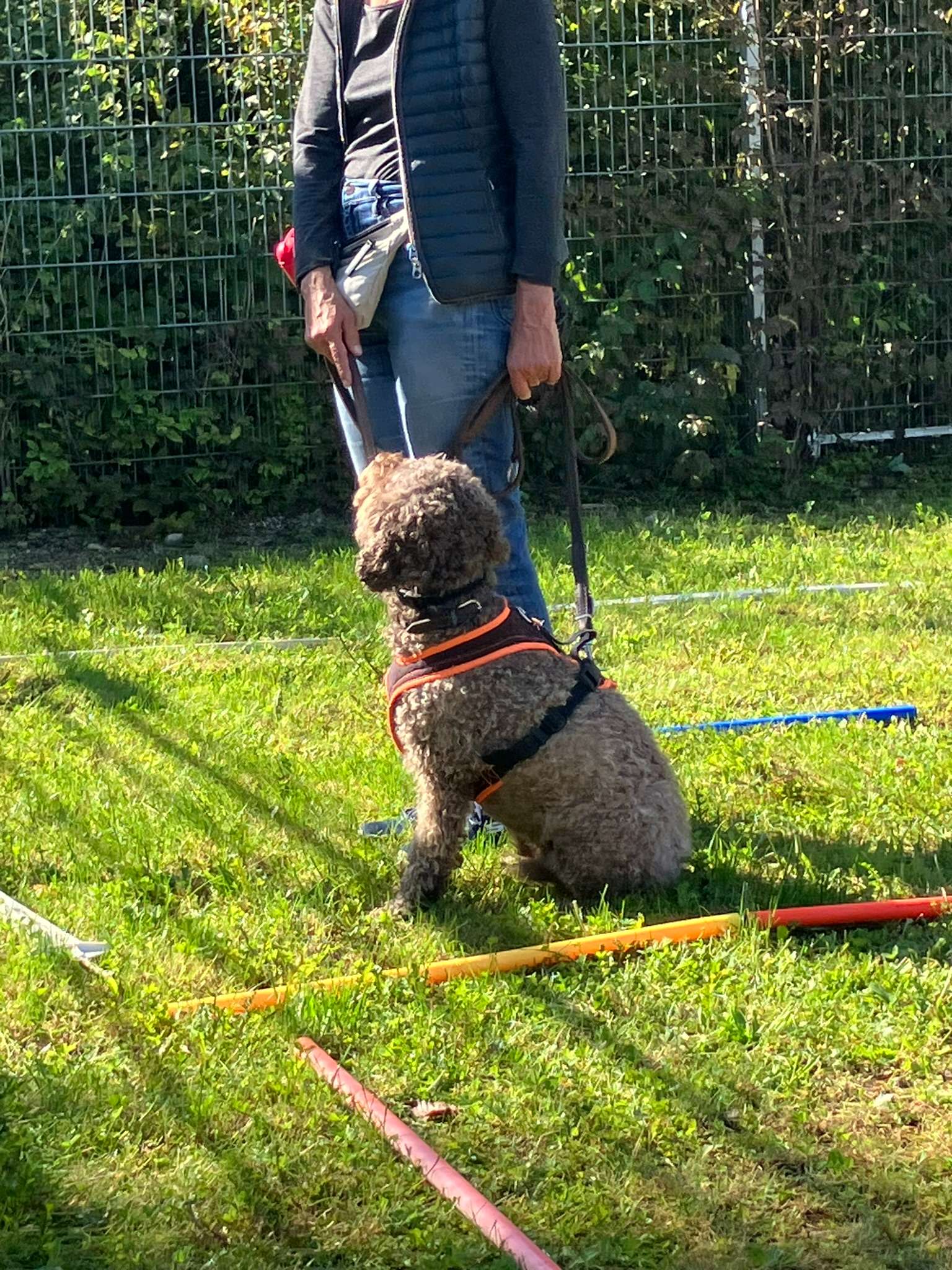 Hundeschule Wauschlau, Brukenthalstraße 4 in München