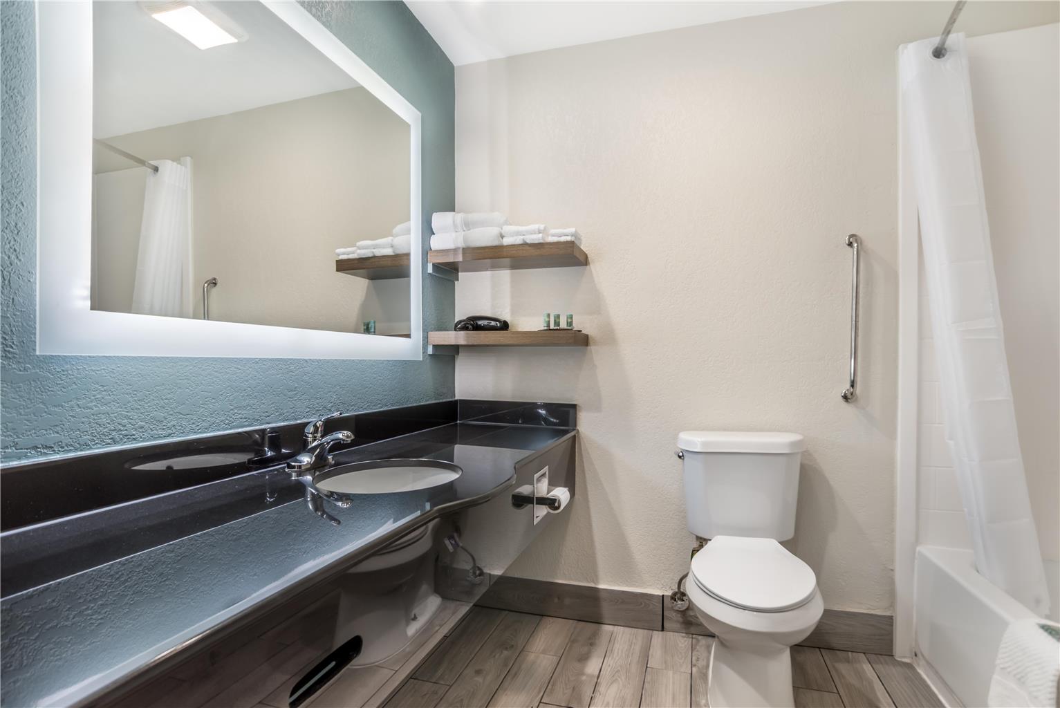 Standard King Bathroom