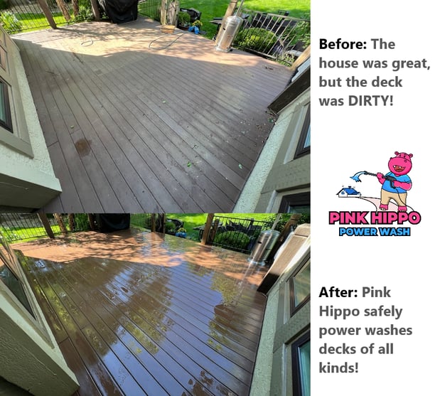 Images Pink Hippo Power Wash