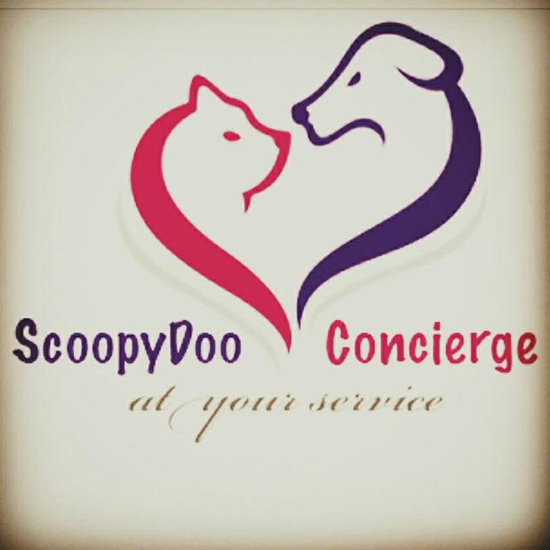 Images ScoopyDoo Concierge