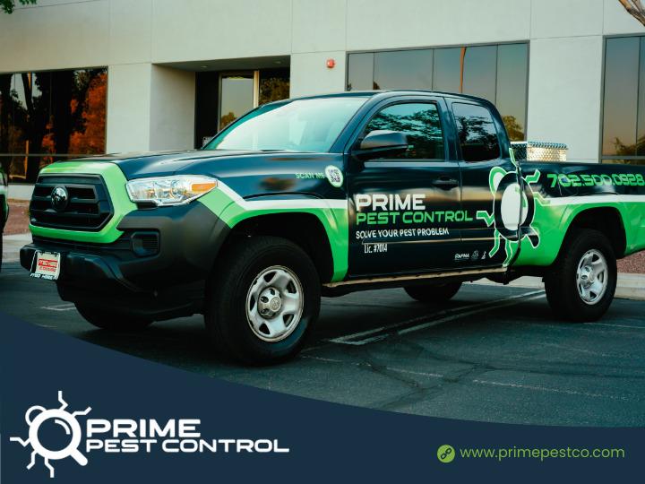 Images Prime Pest Control Las Vegas