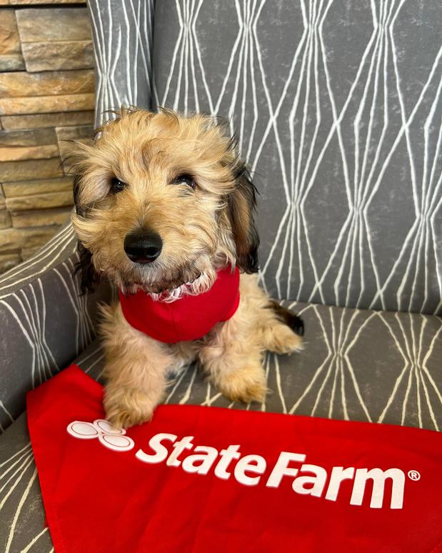 Images Steve Carpou - State Farm Insurance Agent