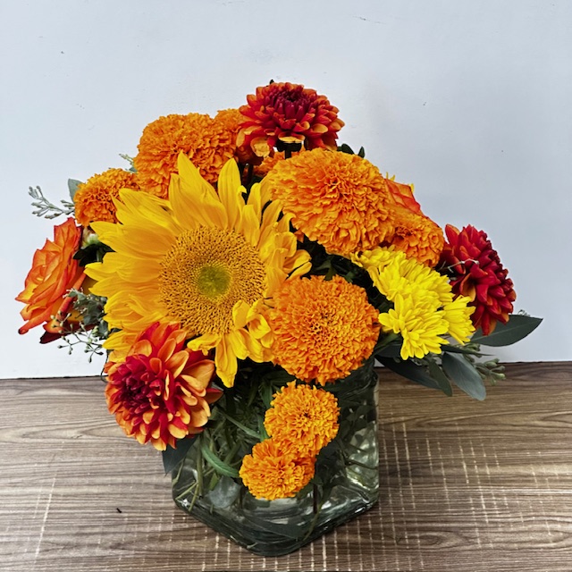 Images Jane's Roses & Flowers