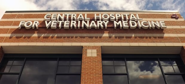 Images Central Hospital For Veterinary Medicine