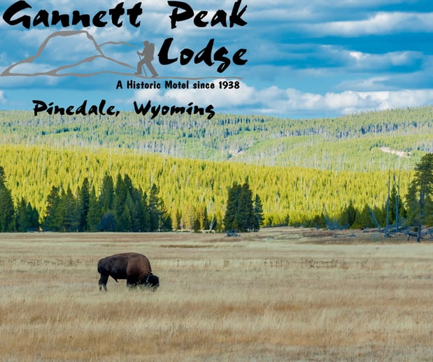 Images Gannett Peak Lodge