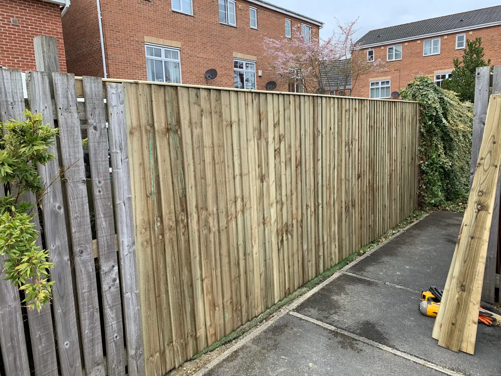 Images D & E Landscapes