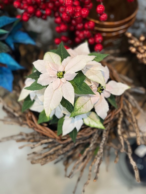 Images Blanchard’s Blossoms and Garden Center