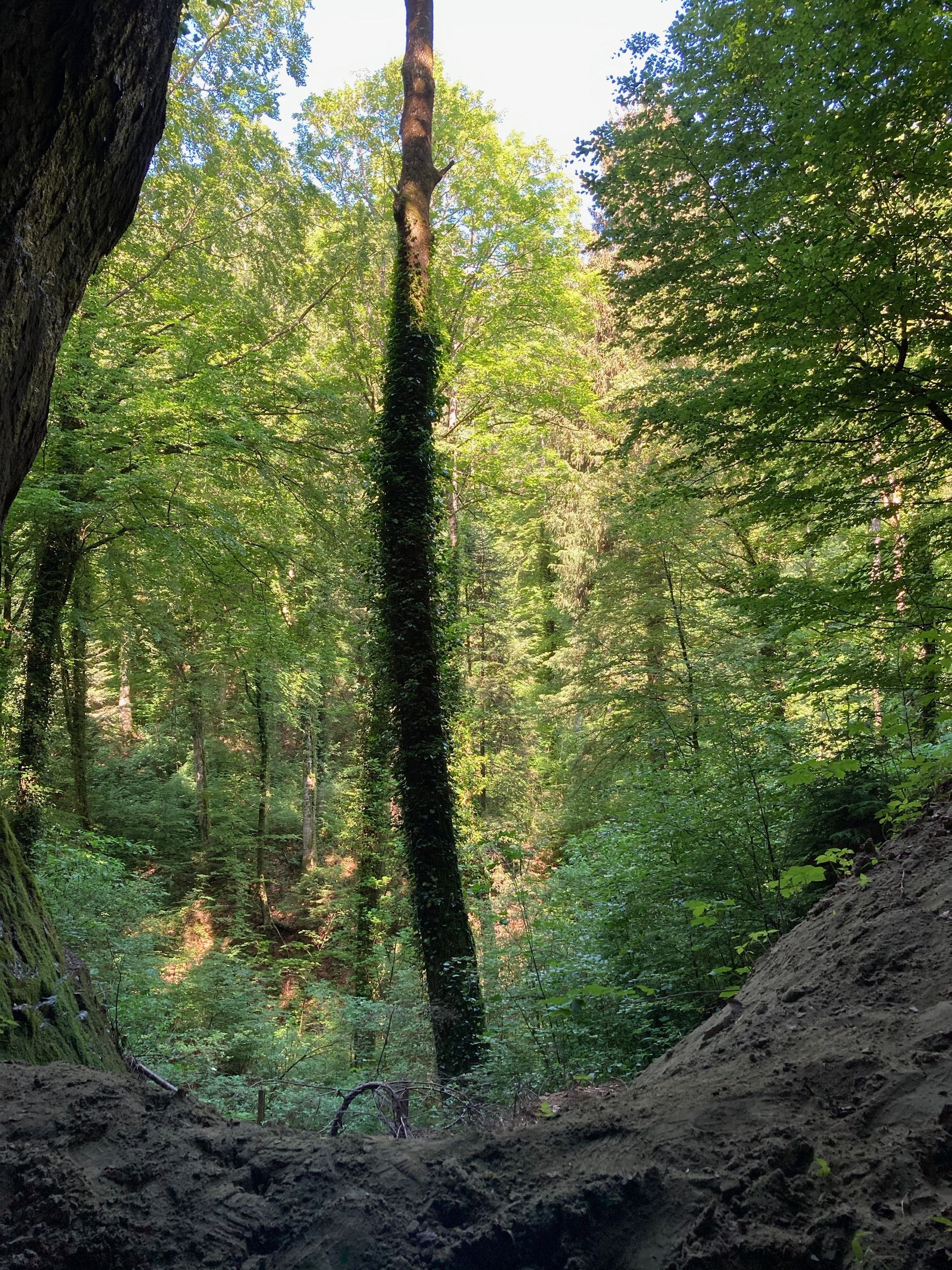 Bilder Guérisseur, Magnétiseur, Médium, Voyance, Jean-Claude Sellie, Energie Subtile