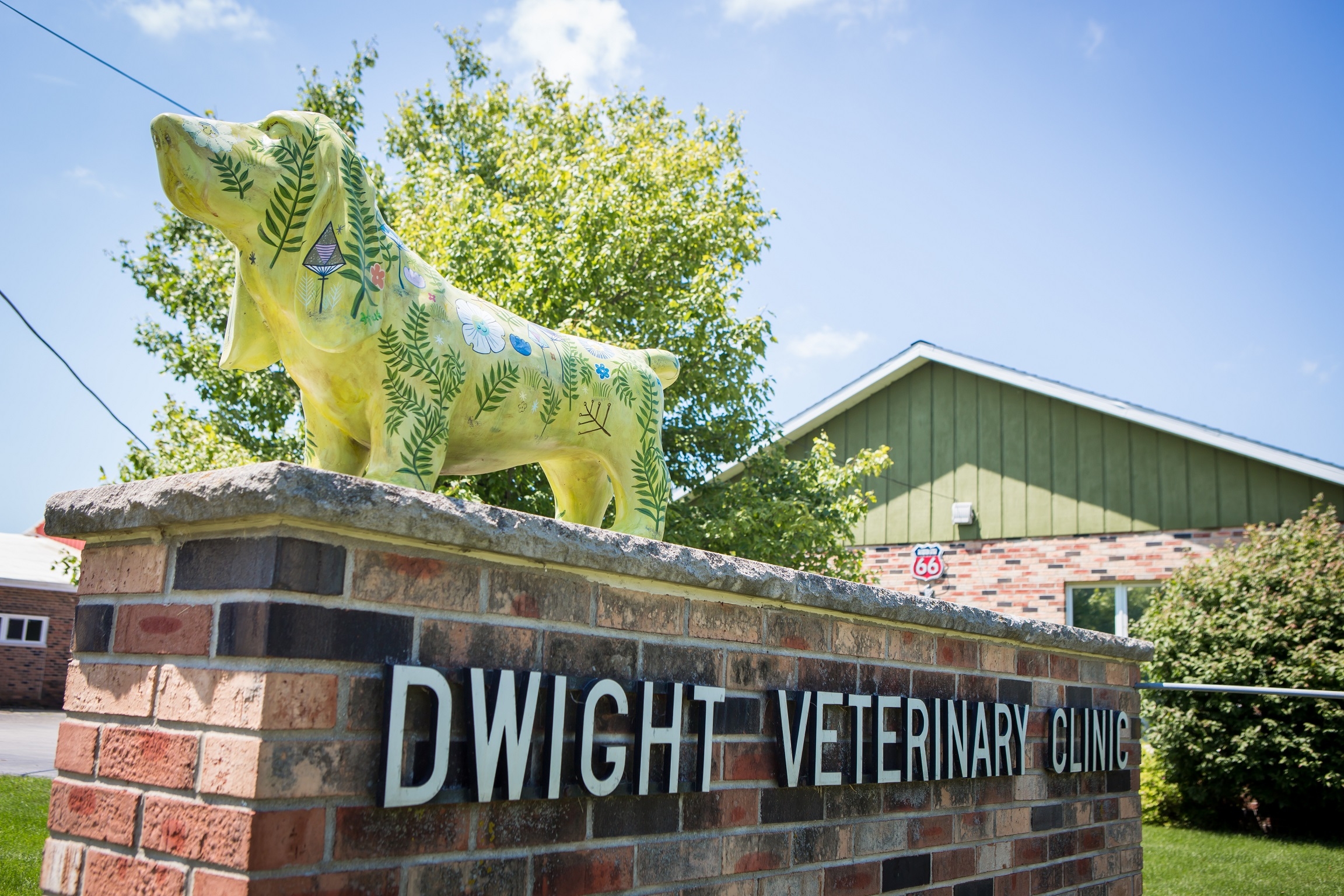 Welcome to Dwight Veterinary Clinic, where your pet's health and wellbeing is our #1 priority!