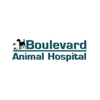 Boulevard Animal Hospital Logo