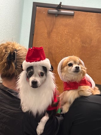 Images VCA Preston Park Animal Hospital