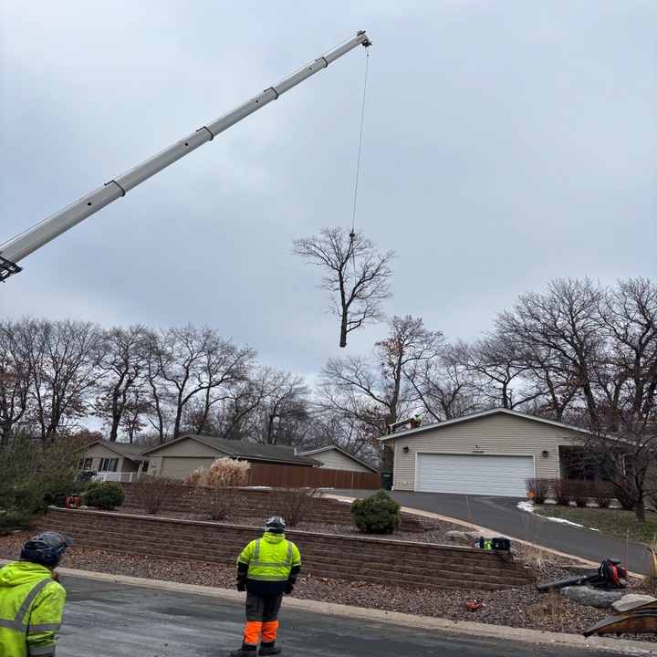 Images Central MN Tree Service