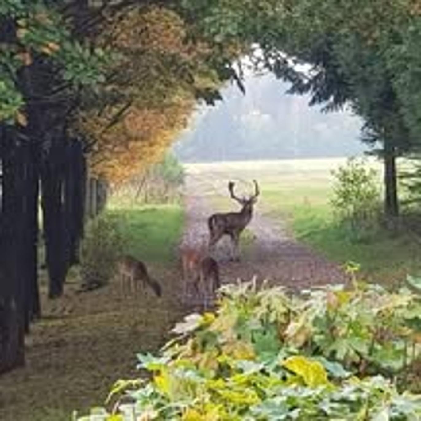 Images Peter Hoe Ejendomme