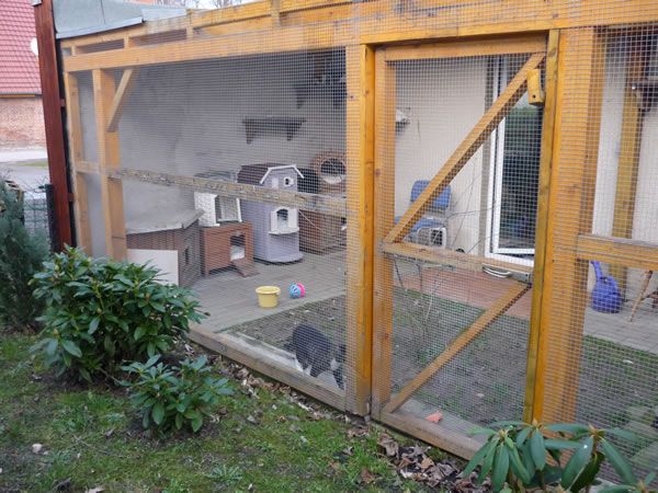 Katzenpension 