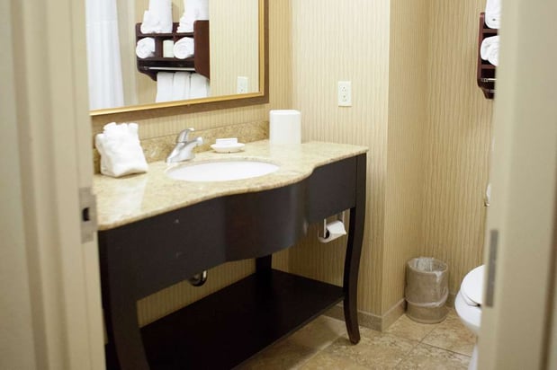 Images Hampton Inn Rochester-Webster
