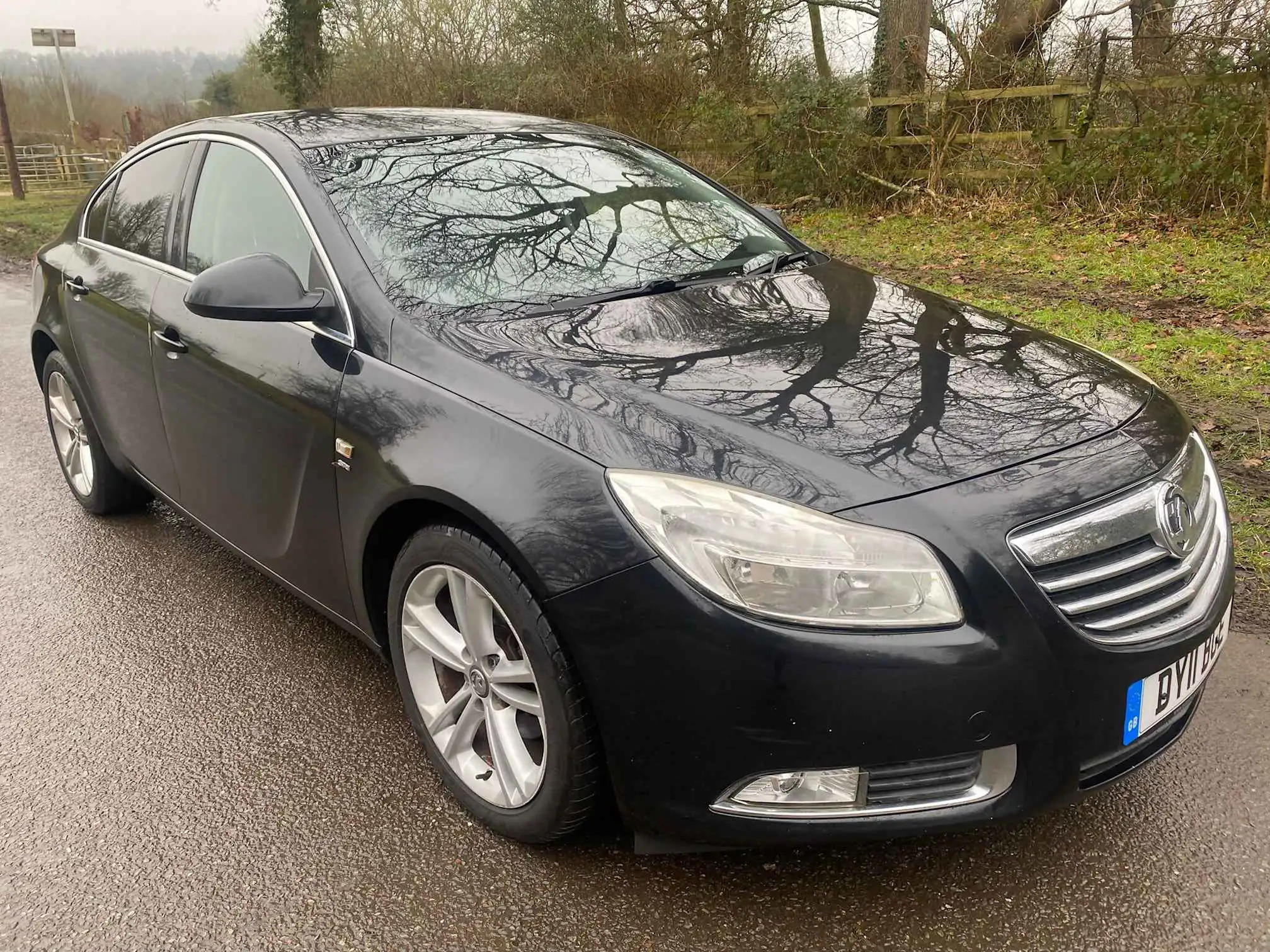 Images MooMoo Motors