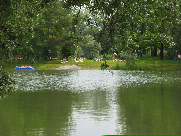 Fischerheim am Schleienloch, Rechter Rheindamm 60 in Hard