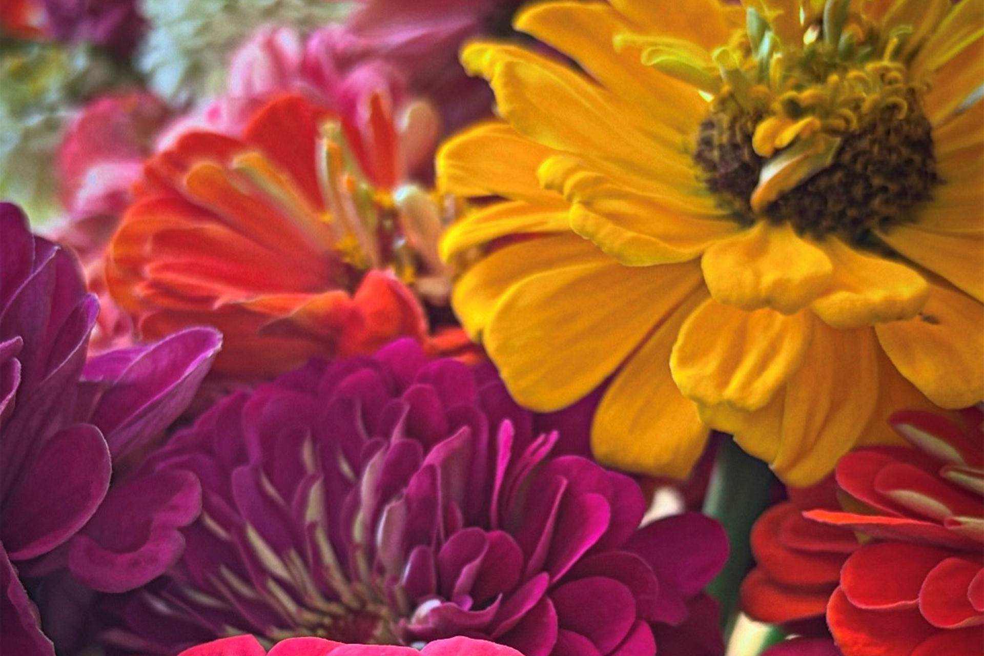 main blog image