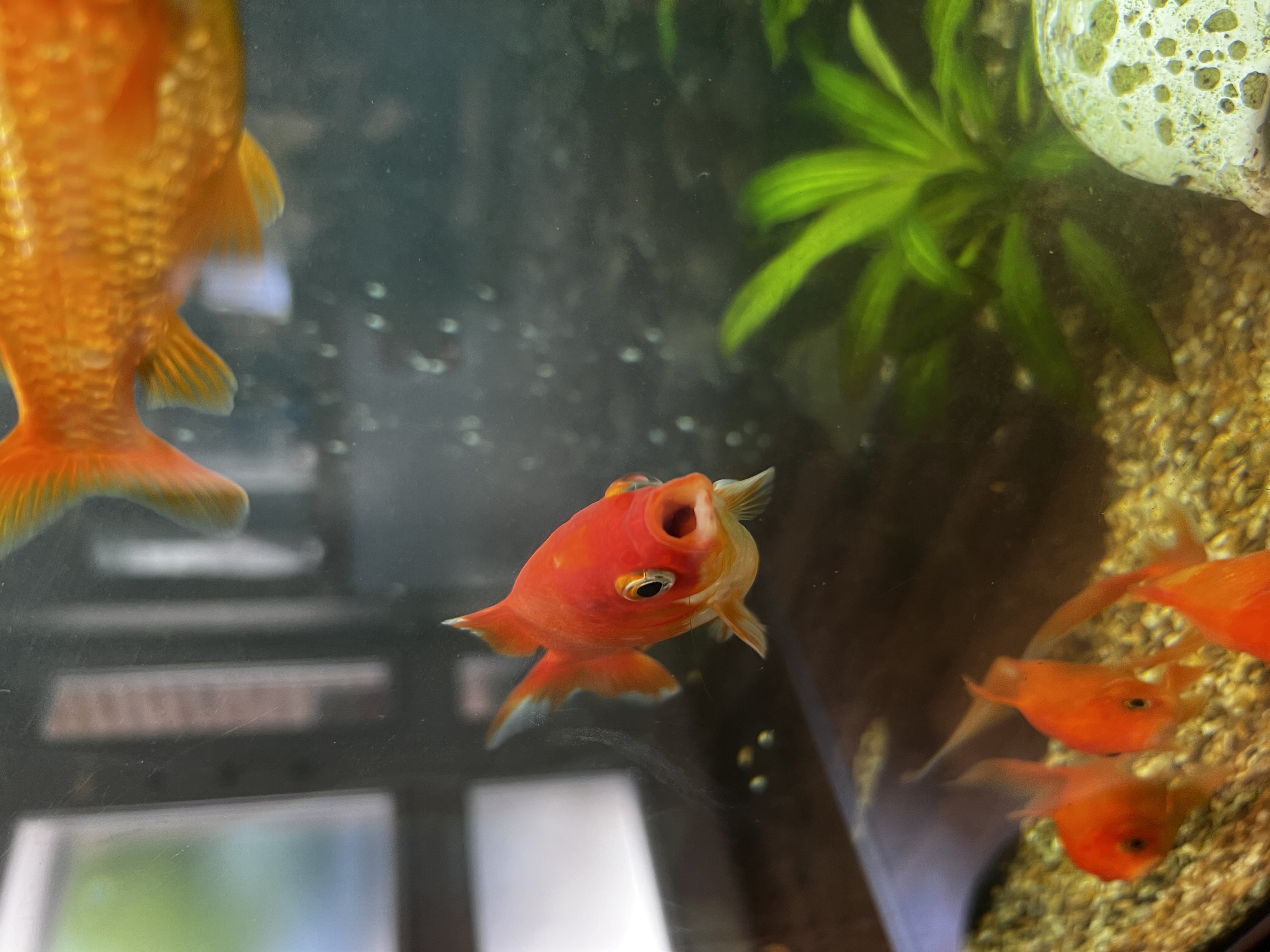 Images Bupa Dental Care Eckington