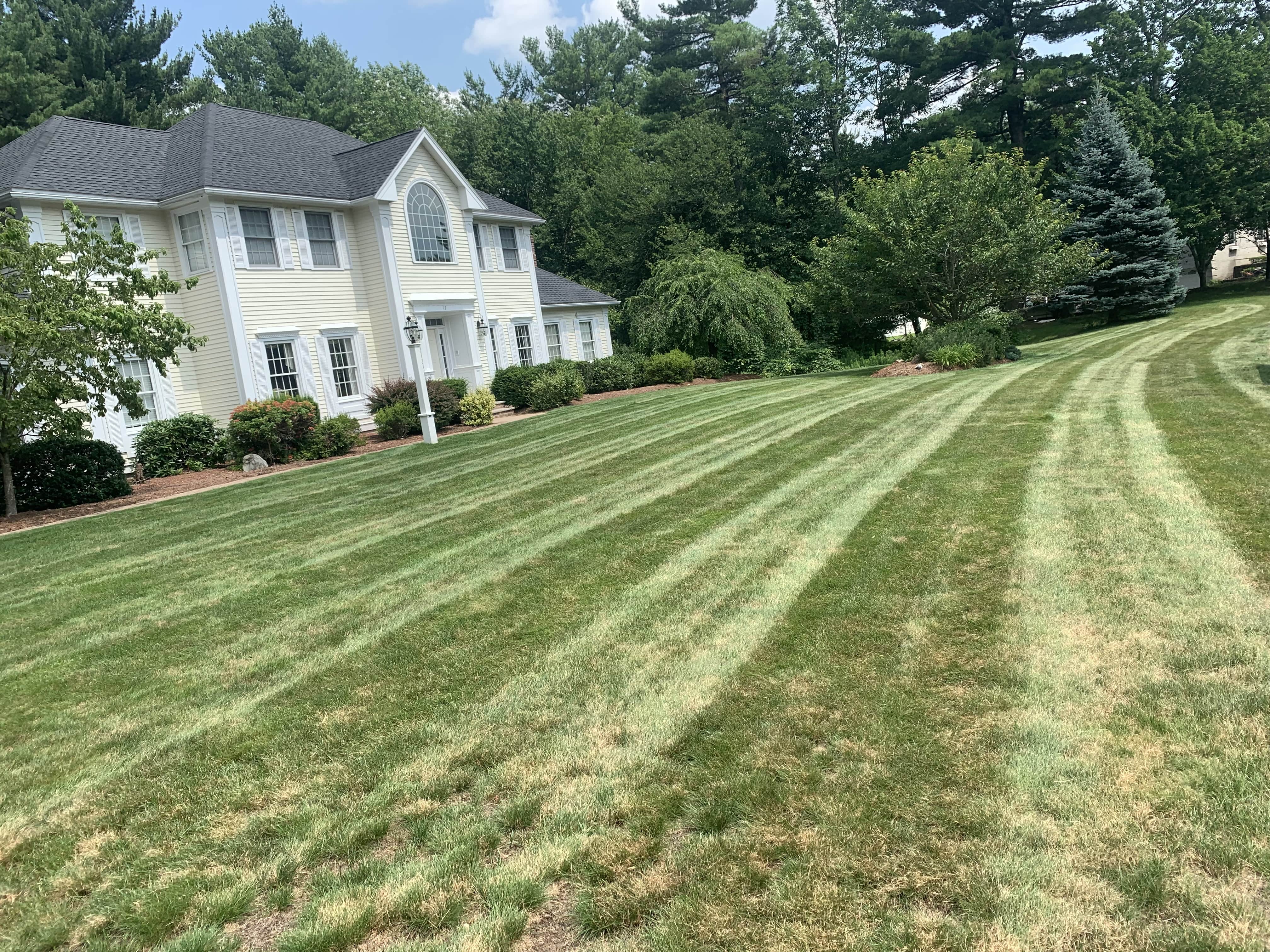 Alvarez Landscaping can handle yards of all shapes, sizes, and conditions - this is a big one!

If you need a landscaper, look no further than Alvarez Landscaping, LLC!