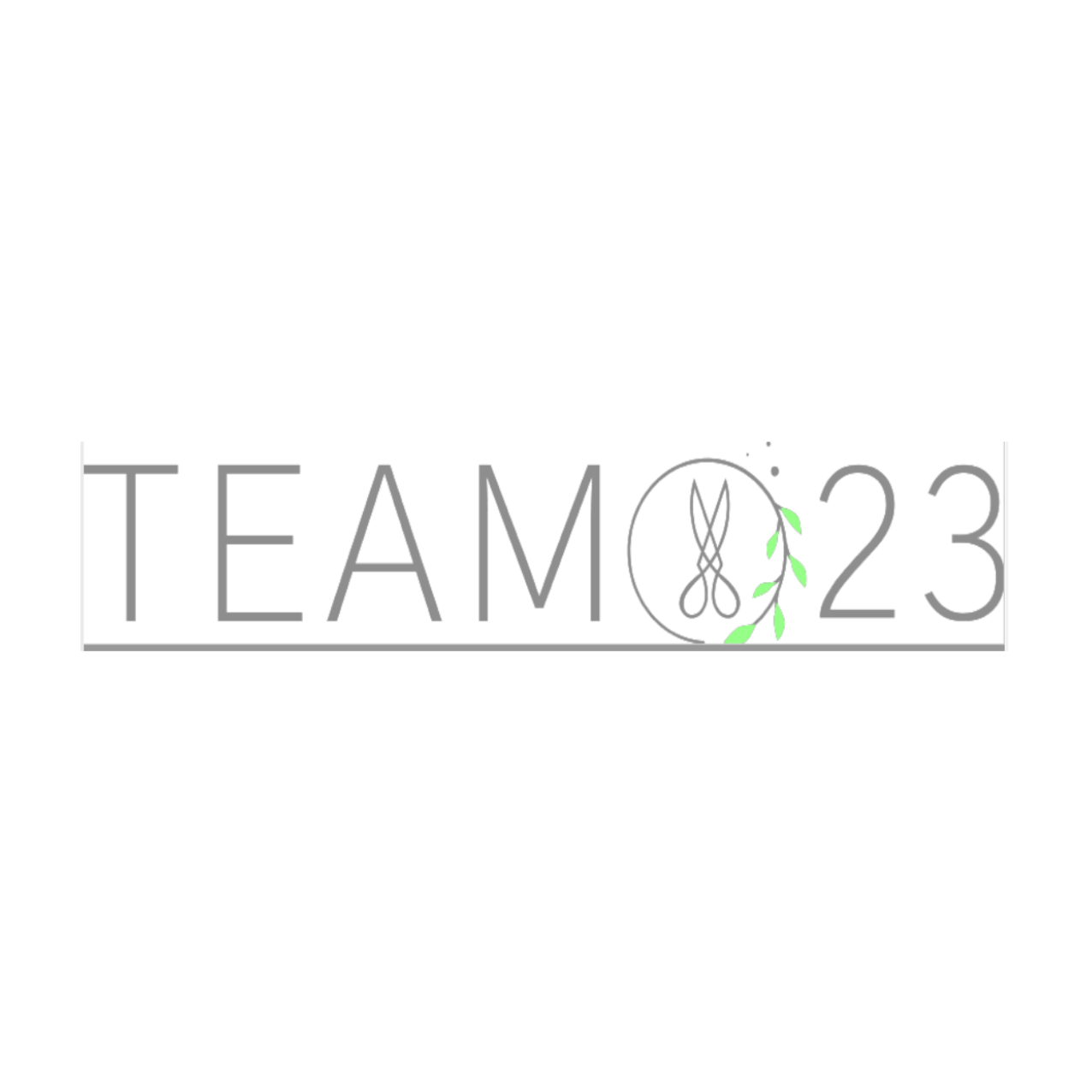 Logo Team 23 Friseur Inh. Pia Kuhls