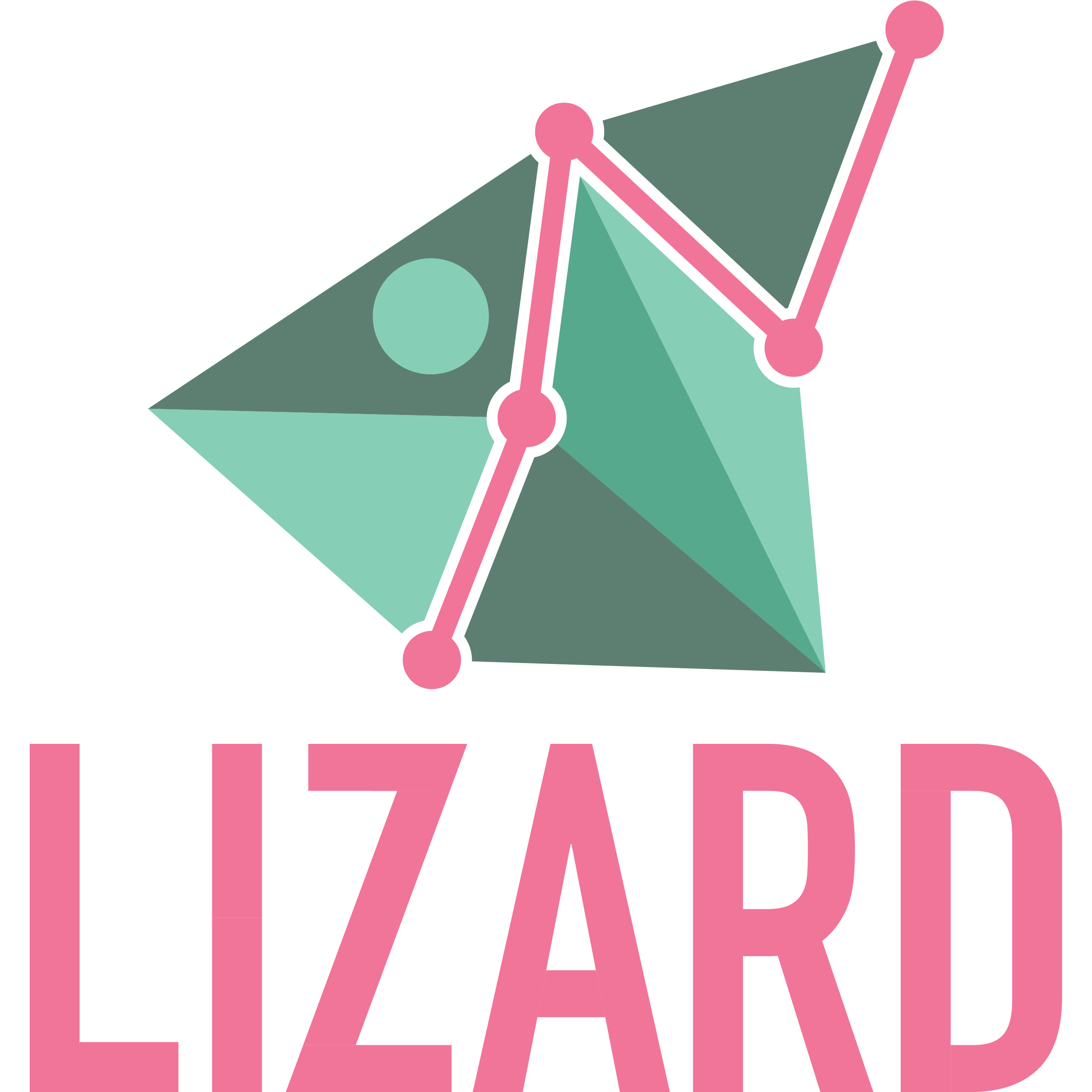 Lizard Marketing - Mint Hill, NC 28227 - (888)296-6579 | ShowMeLocal.com