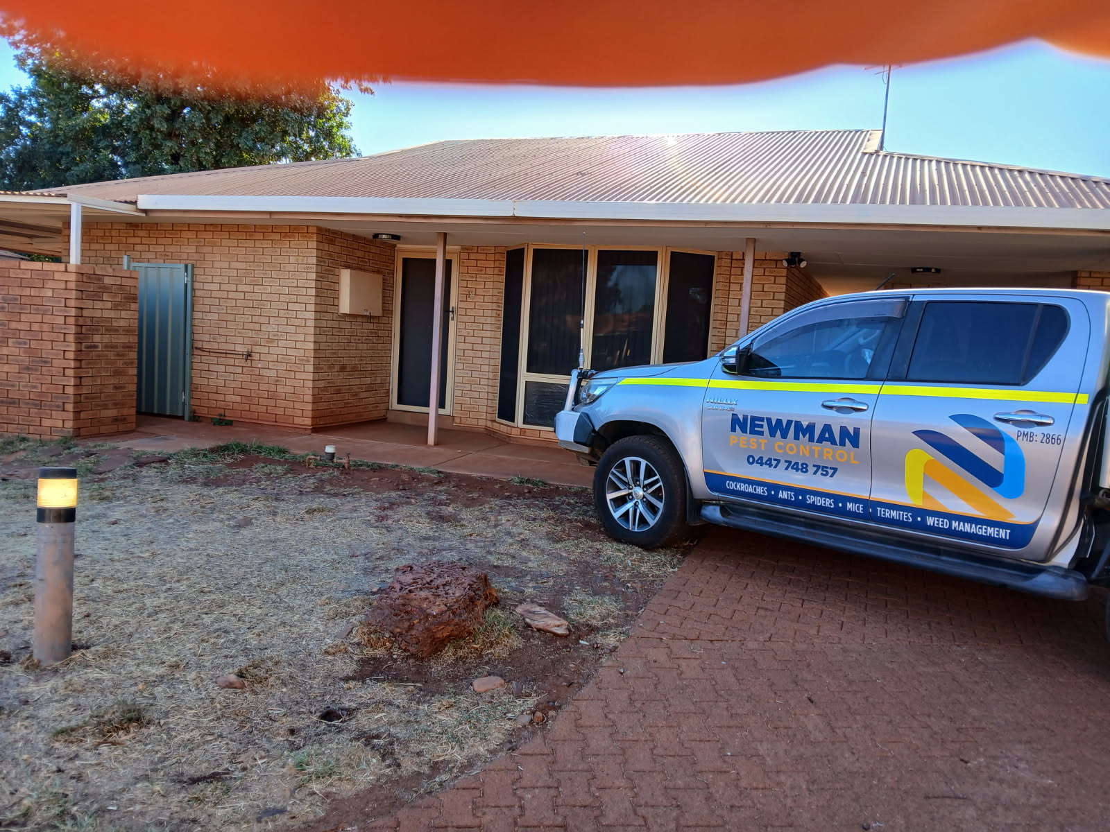 Images Newman Pest Control