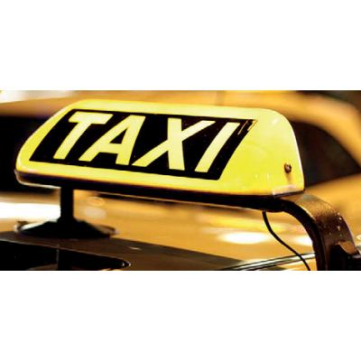 Taxi-Puhle Logo