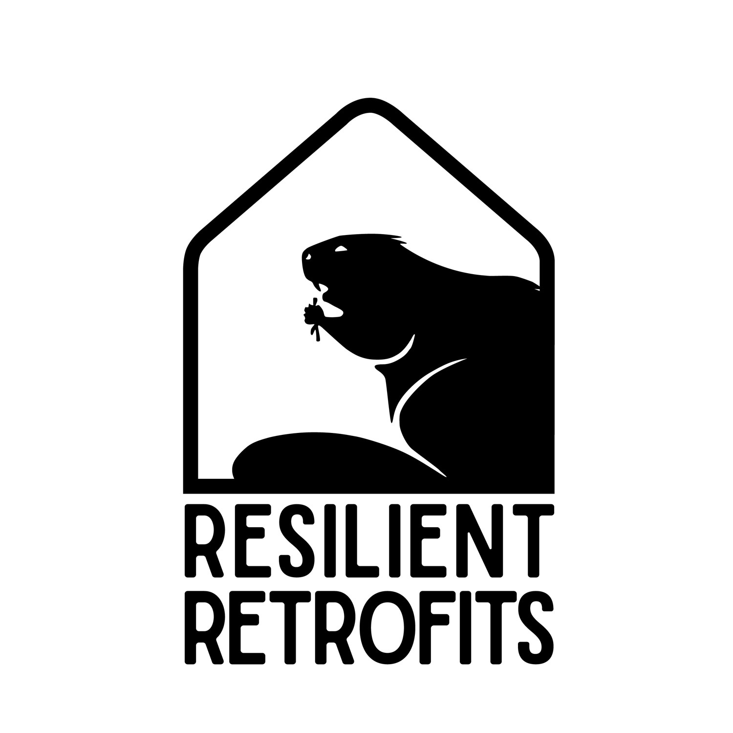 Resilient Retrofits