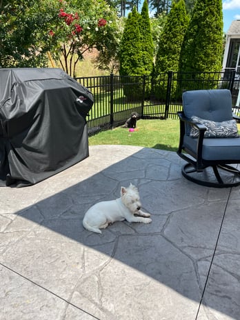 Images B Line Fencing & Services