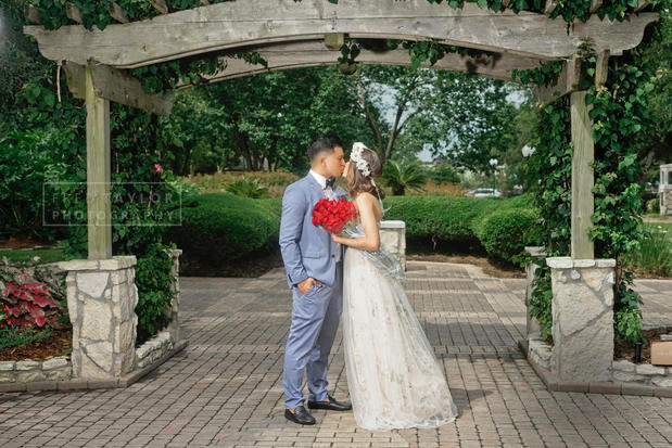 Images Fred Taylor Photography