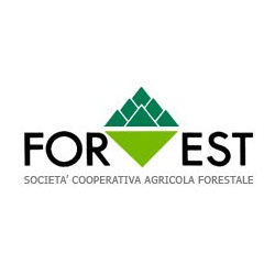 Forest S.C.A.F. Logo