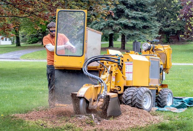 Images Stump Grinding By Chad